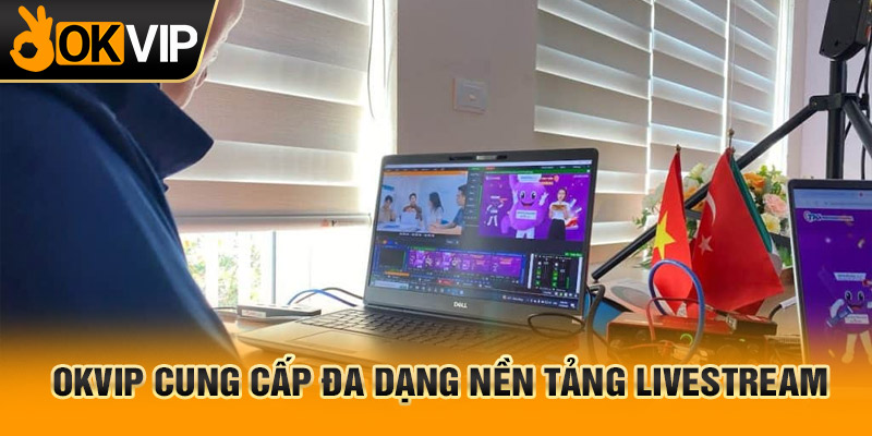 trang chủ OKVIP - 28/3 7 Nền tảng live bóng đá trực tiếp